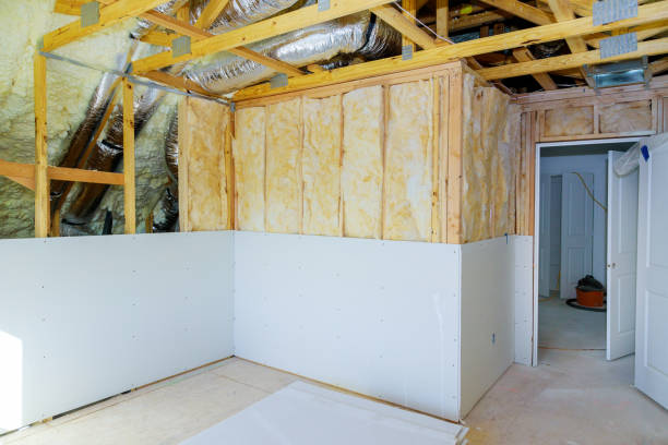Best Garage Insulation Installation  in Wilber, NE