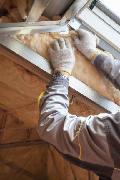 Best Insulation Inspection Services  in Wilber, NE