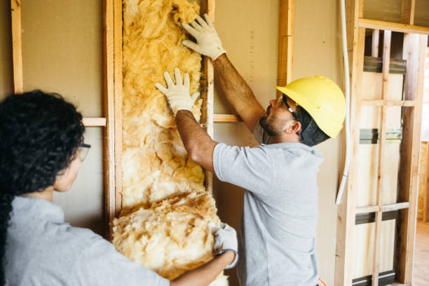 Best Professional Insulation Contractor  in Wilber, NE