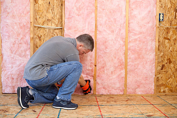 Best Home Insulation Services  in Wilber, NE