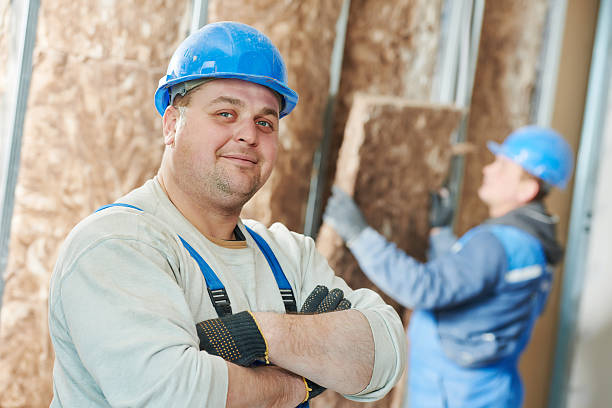 Best Affordable Insulation Services  in Wilber, NE